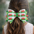 Wales Flag XL